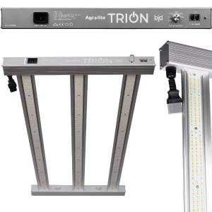 LED Trion 300W 3.1 Agrolite