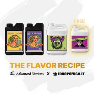 The Flavor Recipe - Advanced Nutrients X Idroponica.it