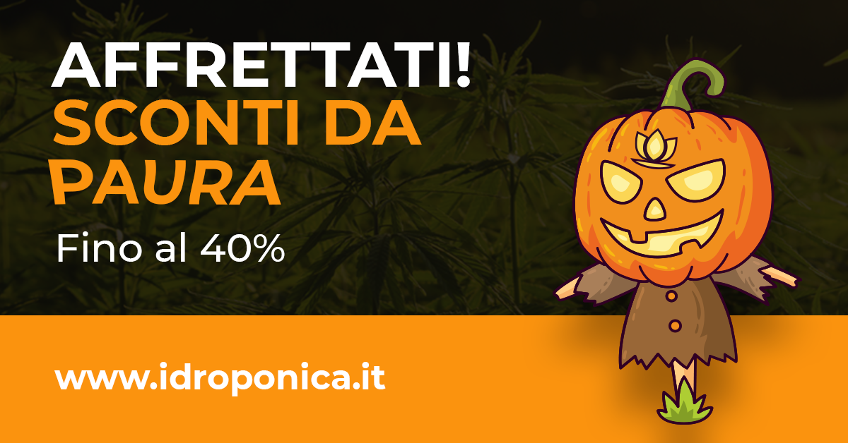 Halloween Offerte da Brivido di Idroponica.it