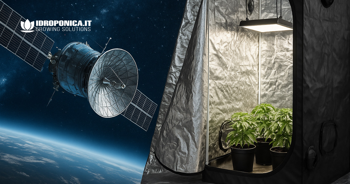 Telo in Mylar per coltivazione indoor: guida completa