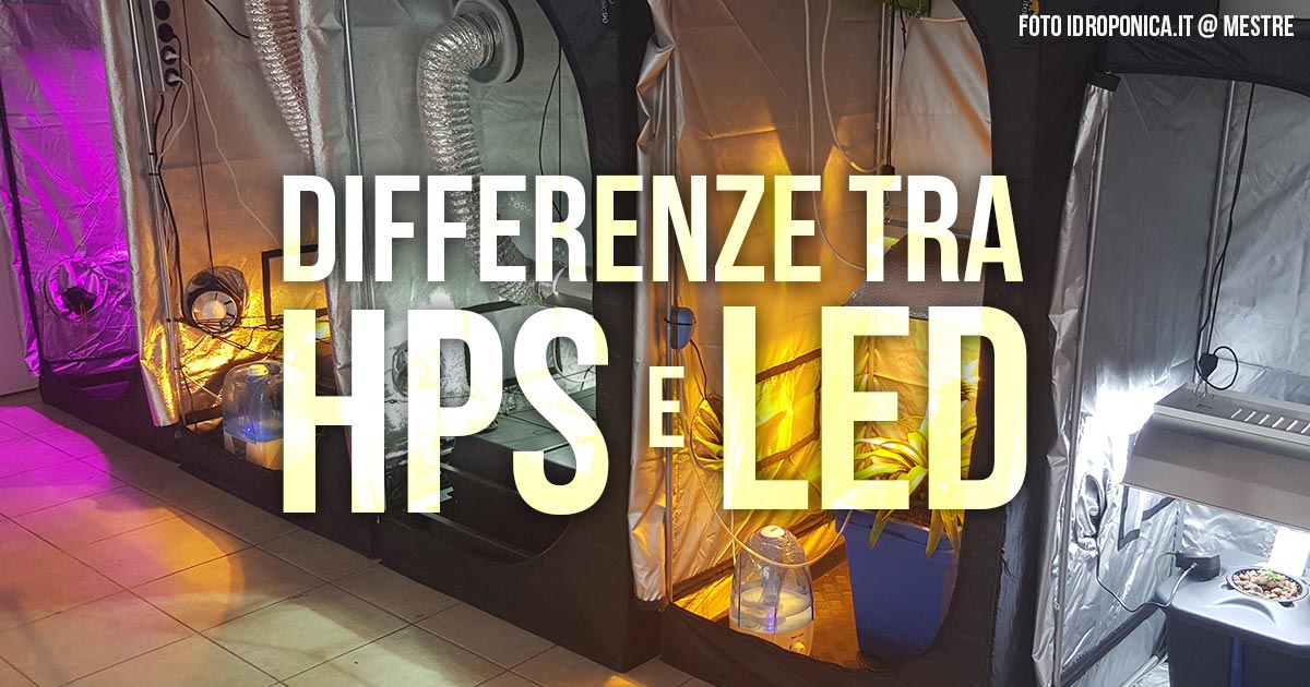 Differenze tra Illuminazione HPS e LED nella Coltivazione