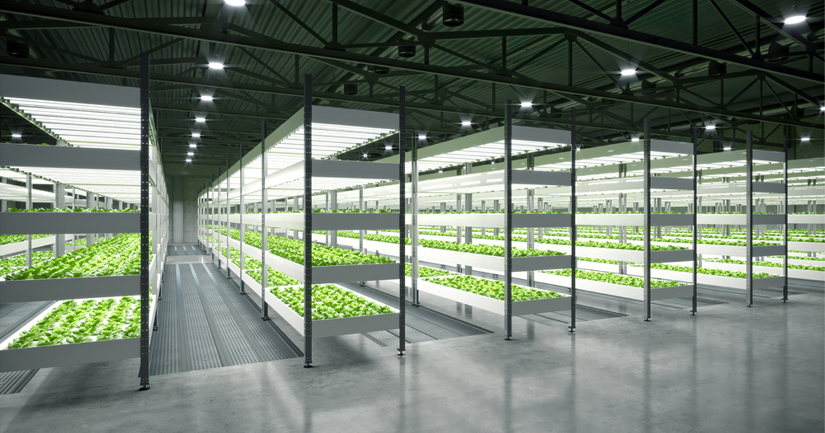 Le 5 migliori luci a LED per coltivazione indoor del 2021