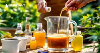 Come preparare la Soluzione Nutritiva in Terra e Idroponica