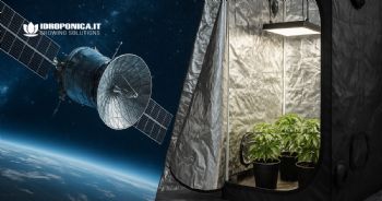 Mylar nella coltivazione indoor: usi, tipologie e manutenzione