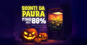 Offerte da paura! Solo per pochi giorni!