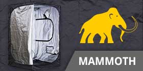 mammoth-grow-box-lite-ivory-pro-elite-