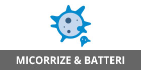 micorrize-e-batteri-per-la-coltivazione