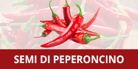 Semi di peperoncino