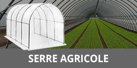 serre-a-tunnel-per-agricoltura