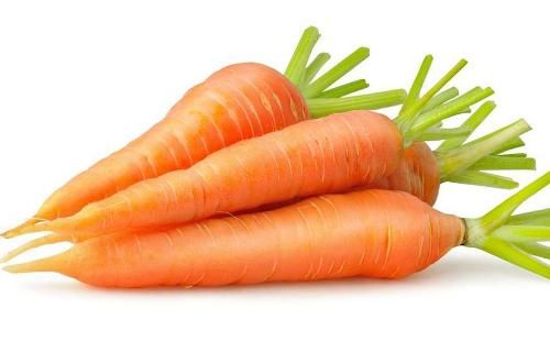 La carota Rainbow seminate a fine aprile IN UN 15 pentola litri circa 30cm  diametro superiore prodotta 2,3 kg di carote 5 libbre Foto stock - Alamy