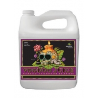 Advanced Nutrients - Voodoo Juice 4L