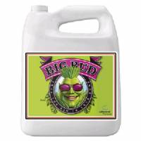 Advanced Nutrients - Big Bud 10L