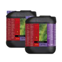 Atami B'cuzz COCO A+B 2x5L