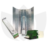 Kit Illuminazione Indoor Easy - Philips Son-t Agro 400w