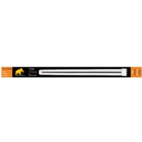 Mammoth Neon TCL 75W 2700K - Fioritura