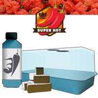 Kit Peperoncino (Miniserra+12Cubi+Chilli Focus)