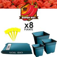 Kit Terra Peperoncino a PH Stabile (8 Piante)
