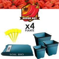Kit Terra Peperoncino a PH stabile (4 Piante)