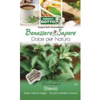 Semi di Stevia - Sementi Dotto