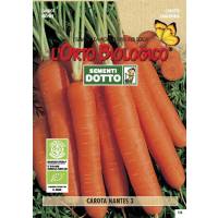 Semi biologici di Carota Nantes 3
