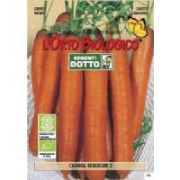 Semi biologici di Carota Berlicum 3