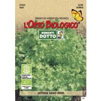 Semi biologici di Lattuga Salad Bowl