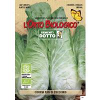 Semi biologici di Cicoria Pan Di Zucchero