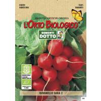 Semi biologici di Ravanello Saxa 2