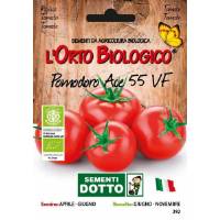 Semi biologici di Pomodoro Ace 55