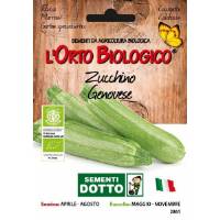 Semi biologici di Zucchino Genovese 