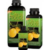 Citrus Focus 300ml - Growth Technology