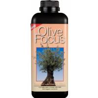 Olive Focus 1L - Growth Technology