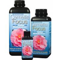 Camelia Focus 300ml - Growth Technology