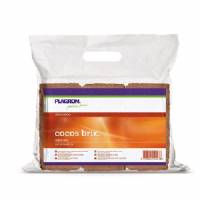 Plagron Cocos Brix - Cocco Pressato - 6pcs