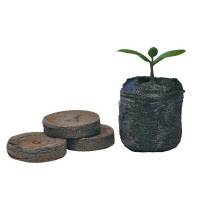 Mini Jiffy 3cm Dischetti di Torba - 1 pezzo