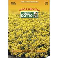 Semi di ALISSO Giallo - h cm 30