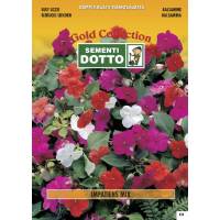 Semi di IMPATIENS in mix - h cm 35