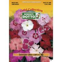 Semi di GAROFANO Cinese Semplice in mix - h cm 35