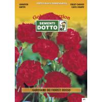Semi di GAROFANO Dei Fioristi  rosso - h cm 60 