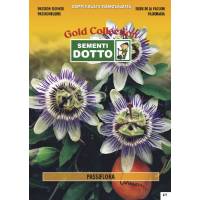 Semi di PASSIFLORA   - h cm 400
