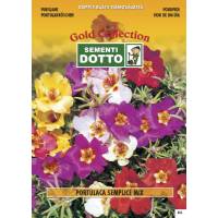 Semi di PORTULACA Semplice  in mix - h cm 15