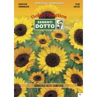 Semi di GIRASOLE Alto Semplice