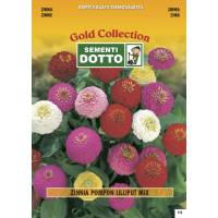 Semi di ZINNIA Pompon Lilliput in mix - h cm 75