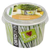 Kit Coltivazione - Ortolino Melissa