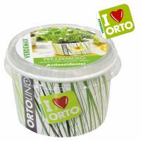 Kit Coltivazione - Ortolino Prezzemolo di Verdemax