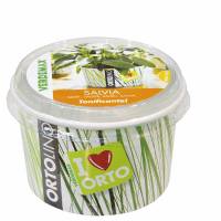 Kit Coltivazione - Ortolino Salvia