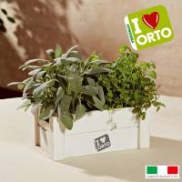 Kit Coltivazione Easyorto di Verdemax - Menta e Salvia