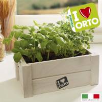 Kit Coltivazione Easyorto di Verdemax -  Basilico e Prezzemolo