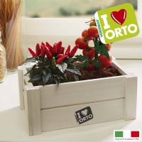 Kit Coltivazione Easyorto di Verdemax - Peperoncino e Pomodorino