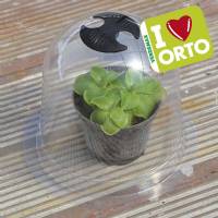 Campana Protettiva media di Verdemax -  Ø26cm x h19,5cm